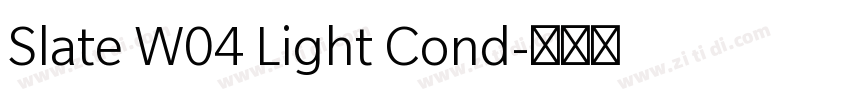 Slate W04 Light Cond字体转换